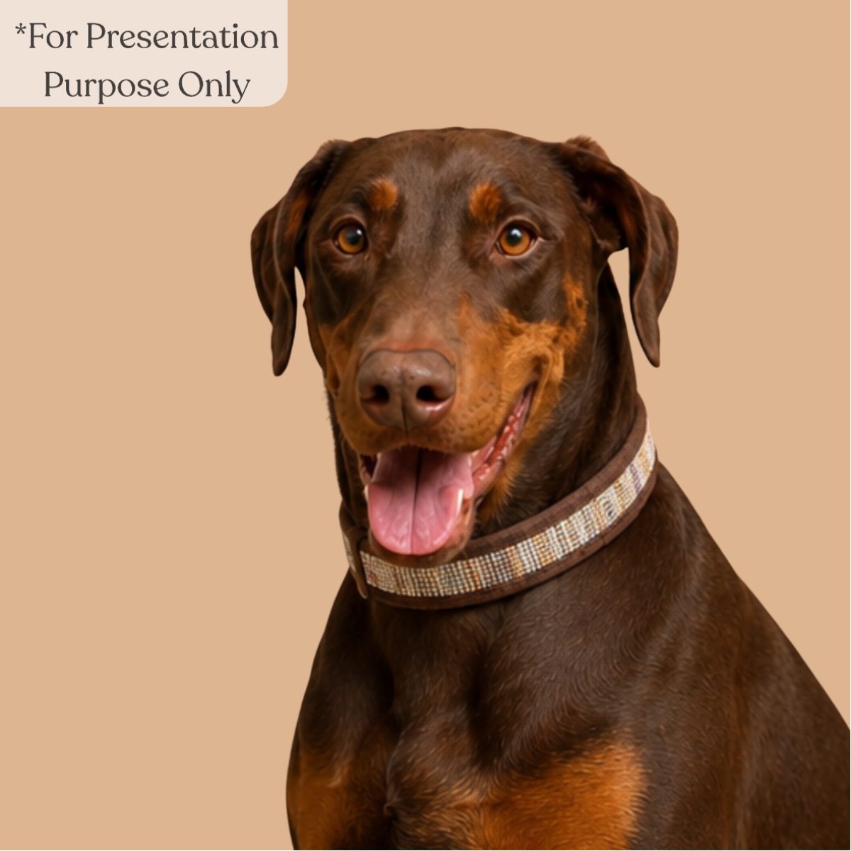 Upcycled Handcrafted Dog Collar (DC0726-002)