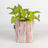 Handwoven Upcycled Small Grow Pot (GPS0226-003) PS_W