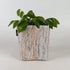 Handwoven Upcycled Small Grow Pot (GPS0325-003) PS_W