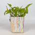 Handwoven Upcycled Small Grow Pot (GPS0526-003) PS_W