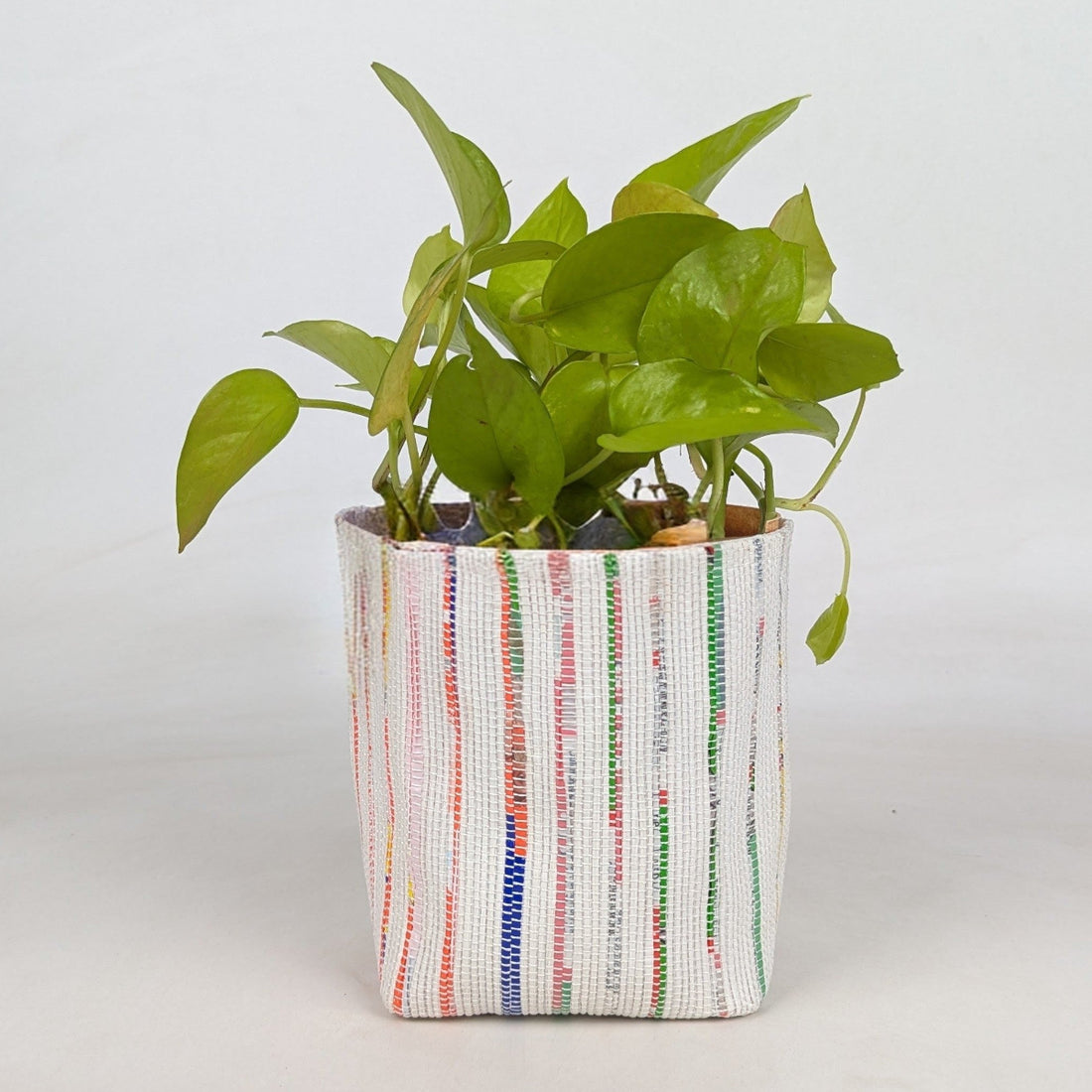 Handwoven Upcycled Small Grow Pot (GPS0526-005) PS_W