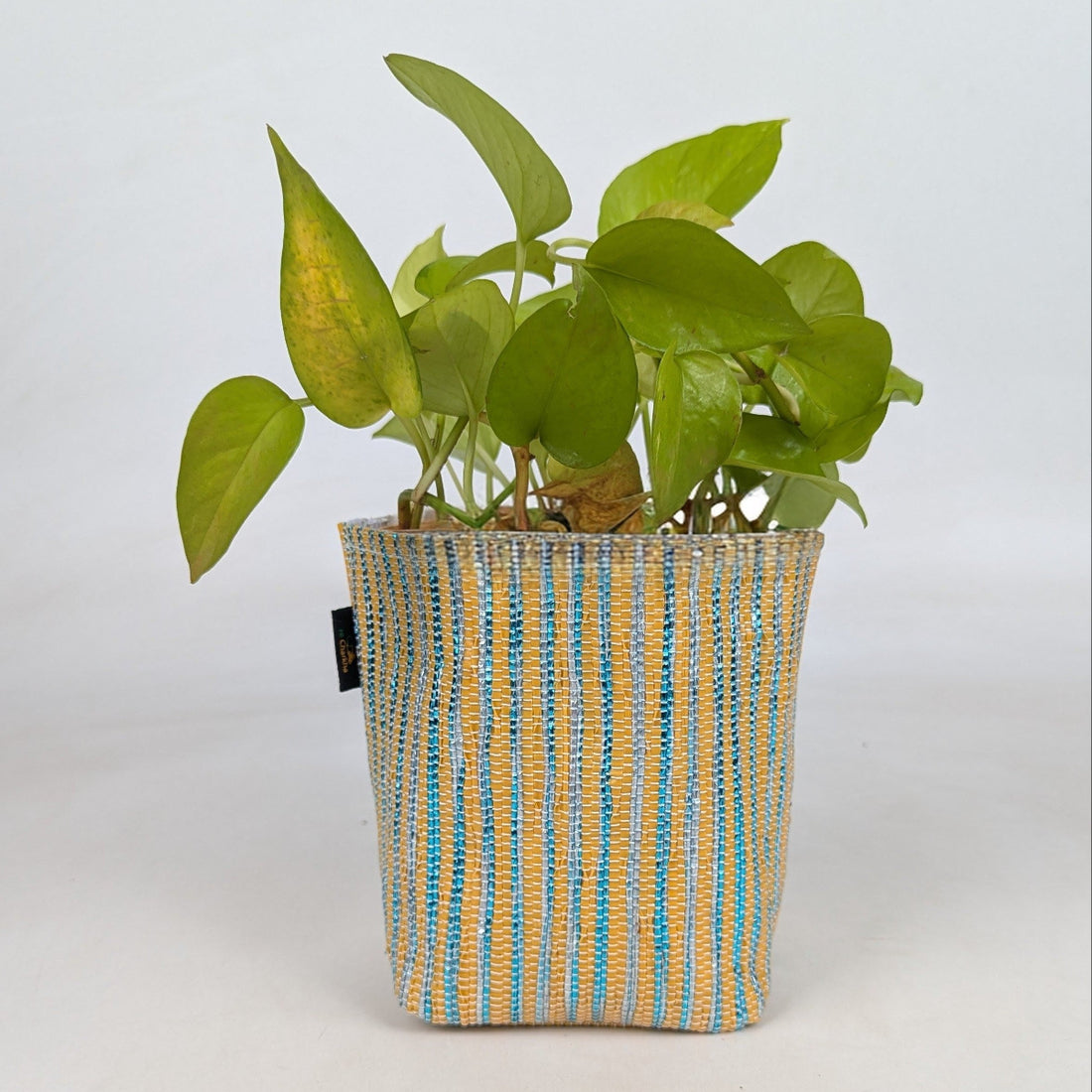 Handwoven Upcycled Small Grow Pot (GPS0526-006) PS_W