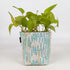 Handwoven Upcycled Small Grow Pot (GPS0526-008) PS_W