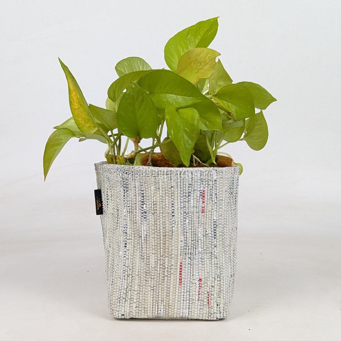 Handwoven Upcycled Small Grow Pot (GPS0526-012) PS_W