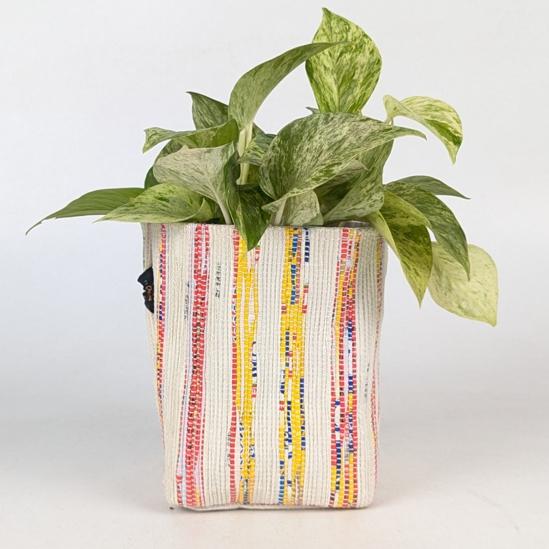 Handwoven Upcycled Small Grow Pot (GPS1125-002) PS_W