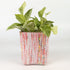 Handwoven Upcycled Small Grow Pot (GPS1125-004) PS_W