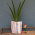 Multicolored Upcycled Handwoven Grow Pot Big (GPB1224-006)
