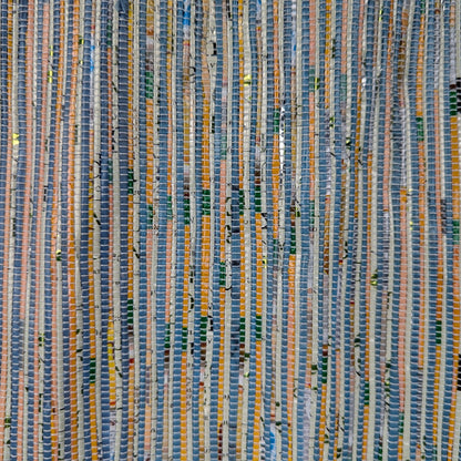Snakes and Ladders (SL0226-009) PS_W