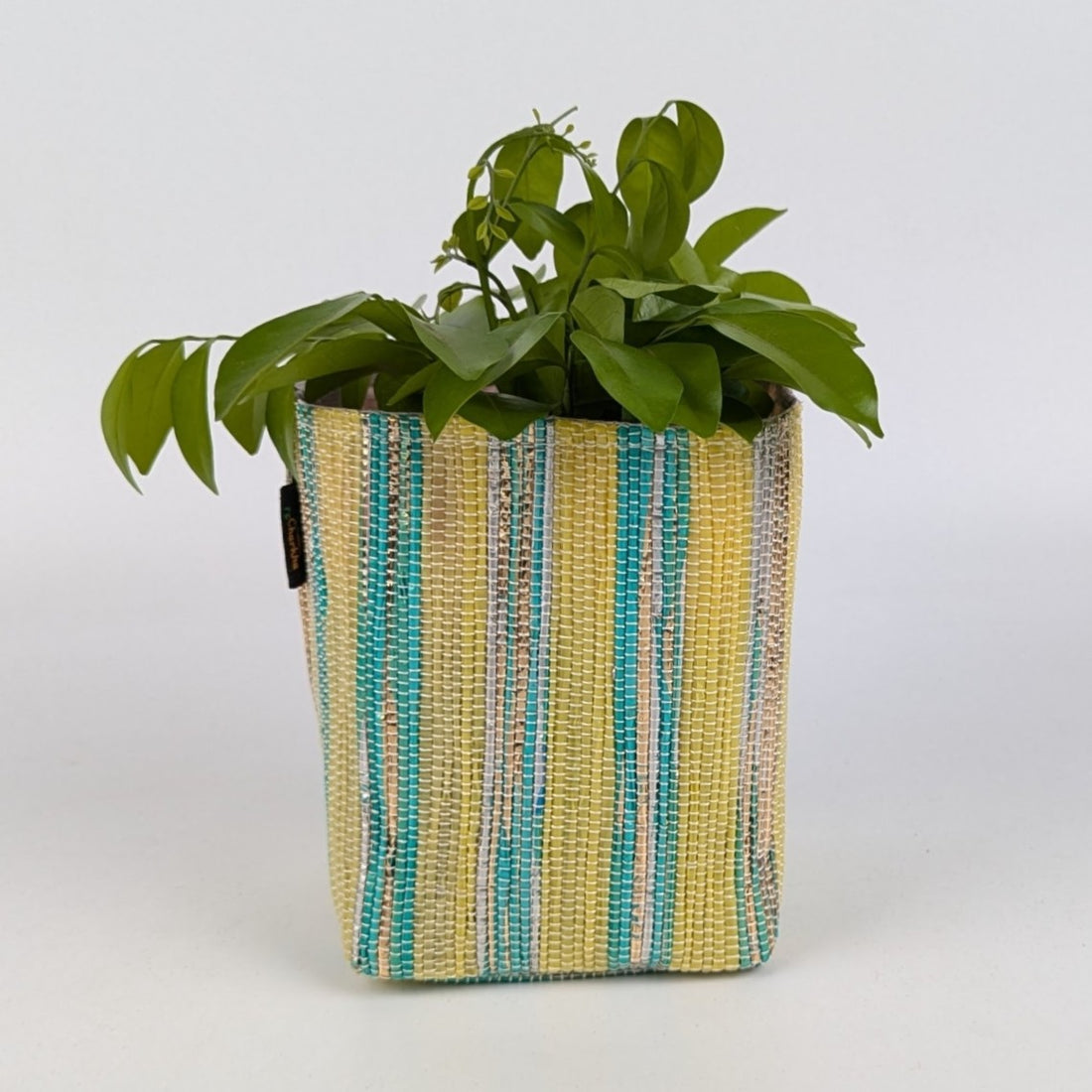 Shimmery Golden Green Yellow Handwoven Upcycled Small Grow Pot (GPS0125-001) PS_W