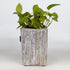 Upcycled Handcrafted Grow Pot Medium (GPM0626-001) PS_W 