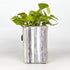 Upcycled Handcrafted Grow Pot Medium (GPM0626-008) PS_W 