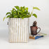 Upcycled Handwoven Grow Pot Big (GPB0424-003)