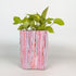 Upcycled Handwoven Grow Pot Medium (GPM0326-013) PS_W
