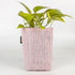 Upcycled Handwoven Grow Pot Medium (GPM1025-005) PS_W