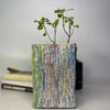 Shimmery Multicolored Grow pot Medium (GPM0723-003)